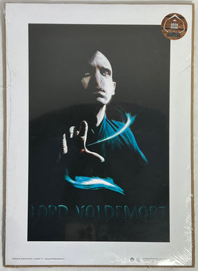 Lord Voldemort Official Print