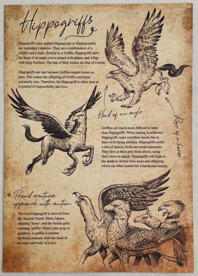 Hippogriffs Fact Print