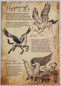 Hippogriffs Fact Print