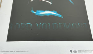 Lord Voldemort Official Print